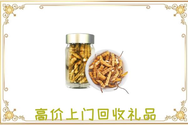 马关周边回收虫草